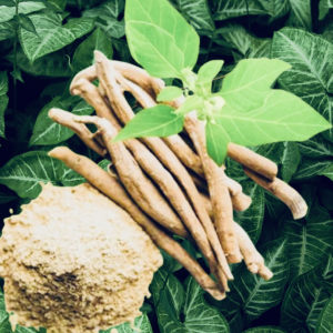 Alternative view of 100 Organic Ashwagandha Root Capsules